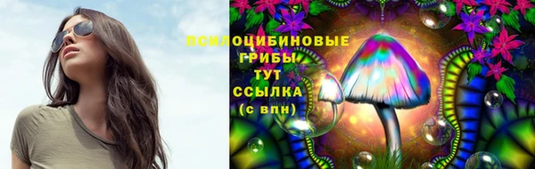 круглые Переславль-Залесский