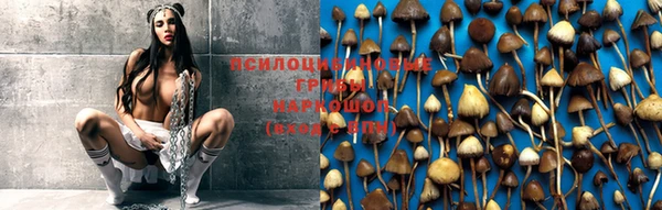 марки nbome Бородино
