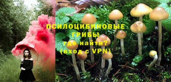 крисы Бугульма